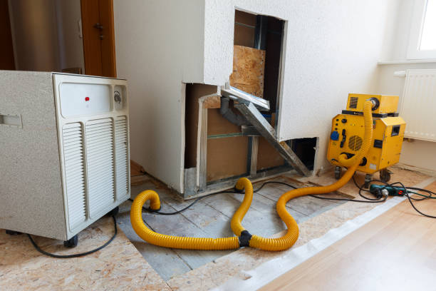 Best Attic Mold Removal  in Hunters Creek, FL